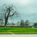 Jardin des Tuileries