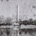 Washington (X-rayed film)