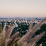 Los Angeles