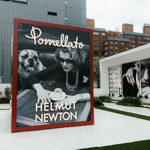 Helmut Newton Exhibition